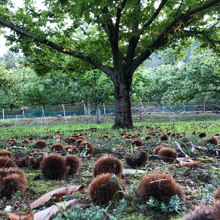 Paysage 펜션